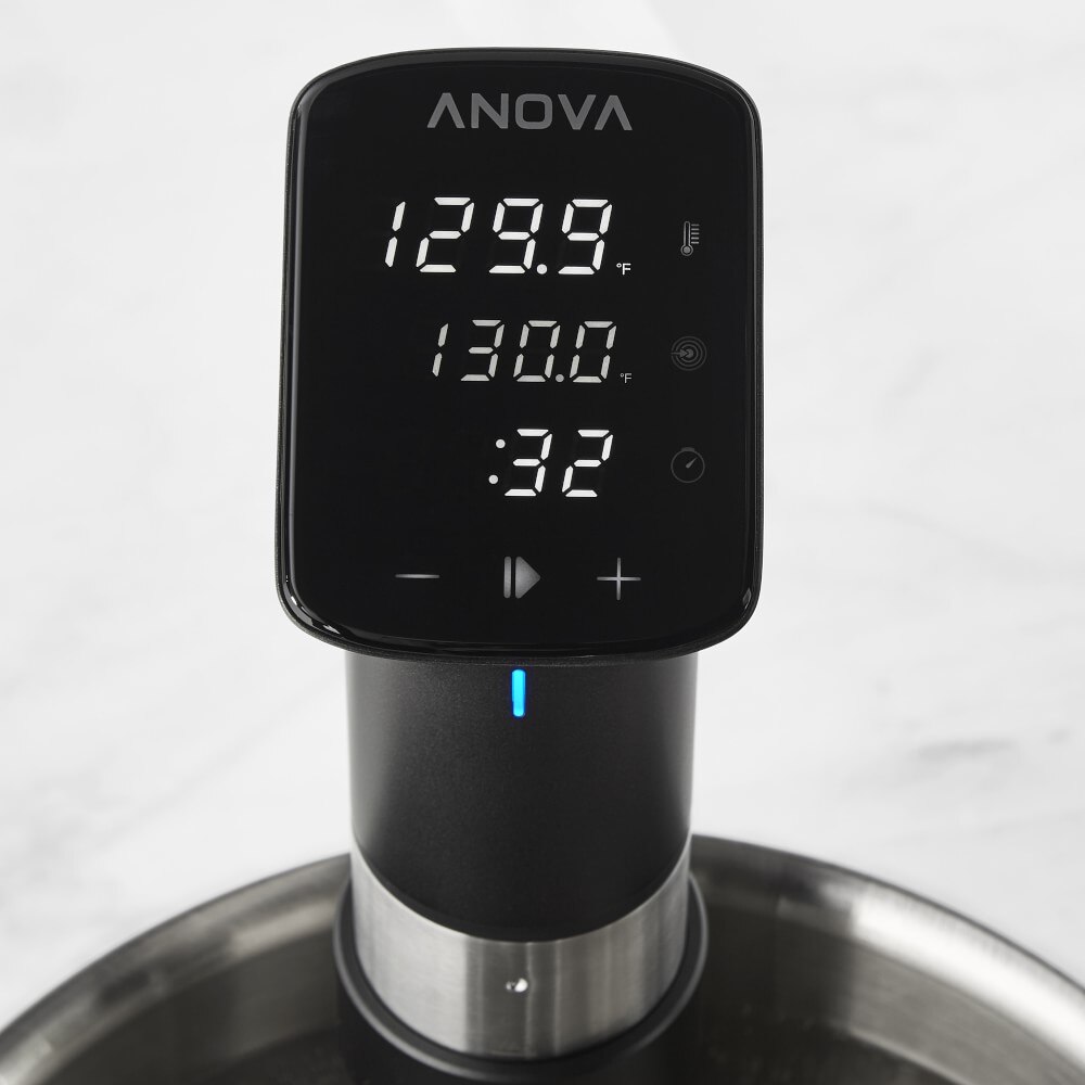 Anova Precision Cooker Pro - Sous Vide Cooker | Williams